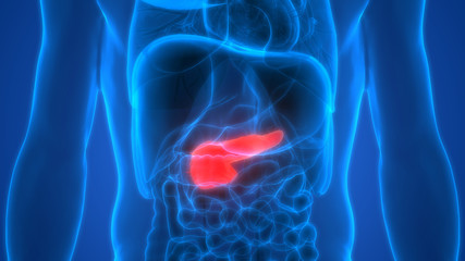 Pancreatology Services