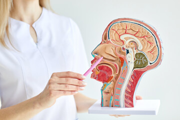 ENT Surgery Services