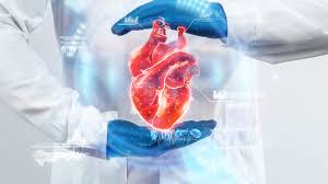 Cardiology & Cardiothoracic Surgery Services